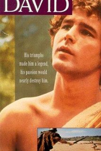 Poster de Filme A História de Davi (1976)