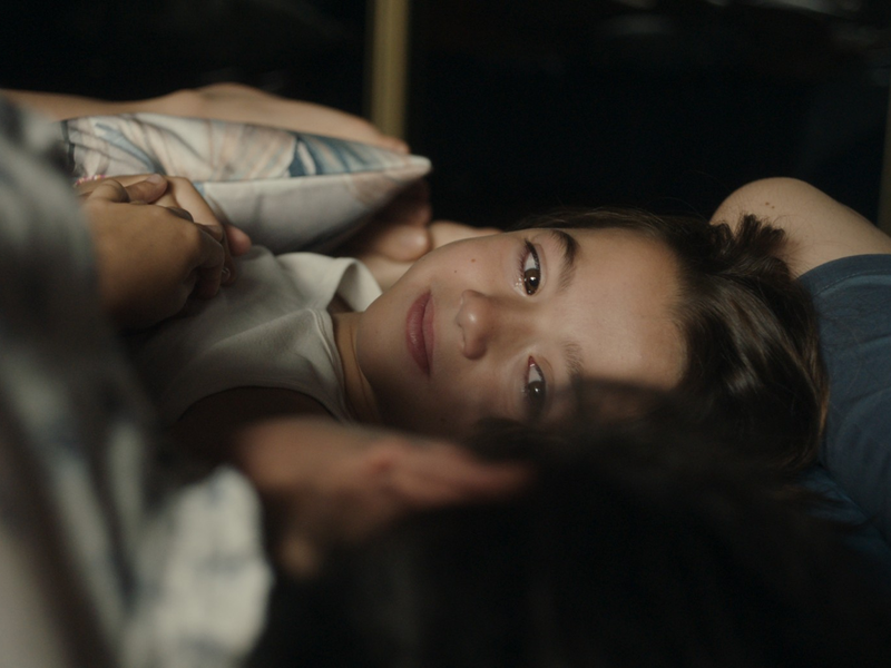 Foto 1 de 20.000 Espécies de Abelhas