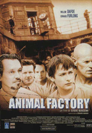 Fábrica de Animais (Animal Factory)