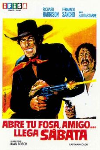 Poster de Filme Eu Lavrei Tua Sentença (1971)