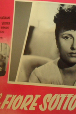 Il Fiore Sotto Gli Occhi  (Il fiore sotto gli occhi )