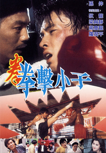 Destiny's Champion (Quan ji xiao zi)