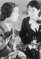 The Scent of Pheasant's Eye