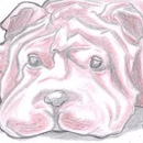 Foto de perfil de Giovani Medine