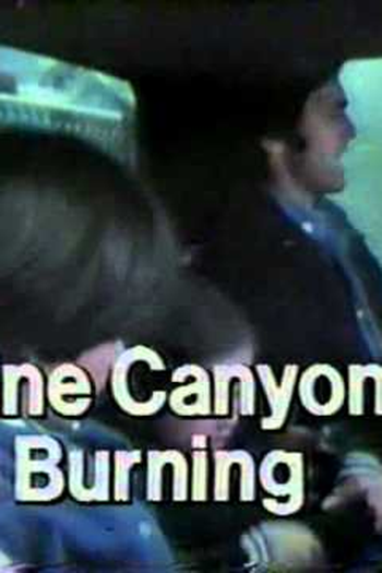 Poster de Filme Floresta em Chamas (1977)