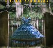Natchez
