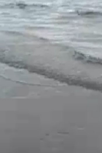  de Curta Mais um Domingo (2005)