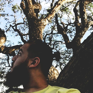 Foto de perfil de Renato Beran