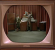 Aunt Bee on TV