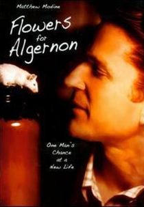 Um Amigo para Algernon (Flowers for Algernon)