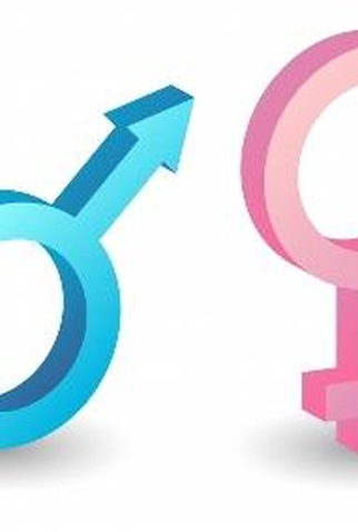 Poster 1 de TV Eles para elas (2010)