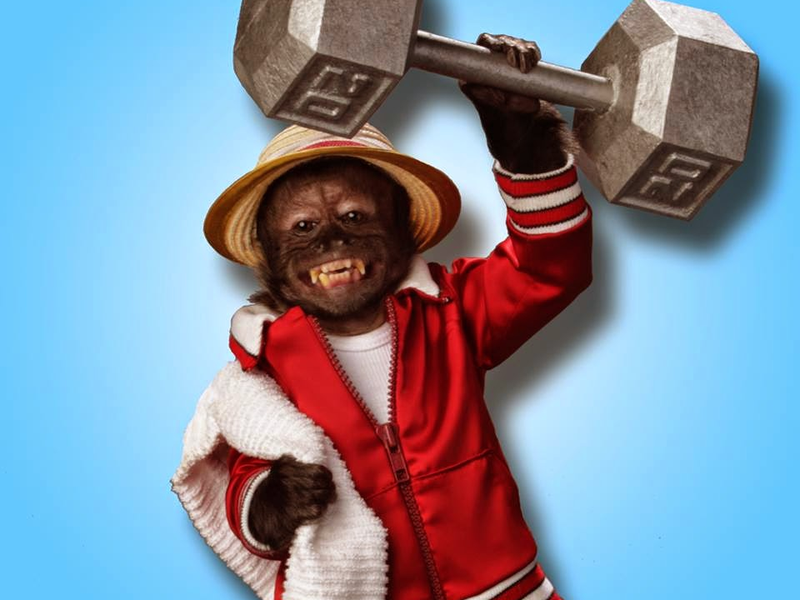 Foto 3 de Russel, O Cãopeão