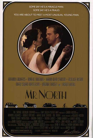 Poster 1 de Filme O Elétrico Mr. North (1988)