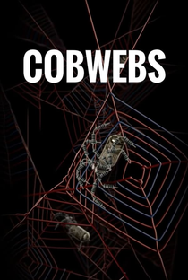Cobwebs - Poster / Capa / Cartaz - Oficial 1