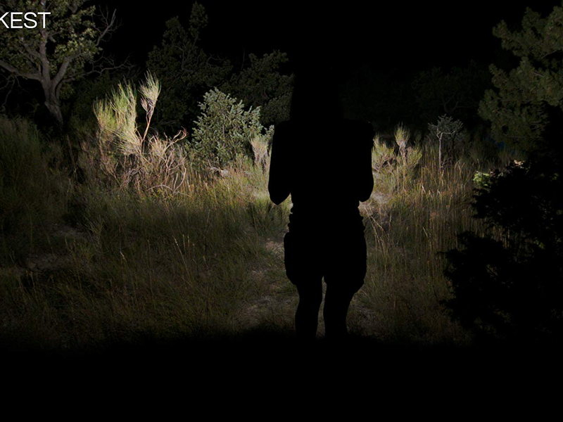 Foto 11 de The Darkest