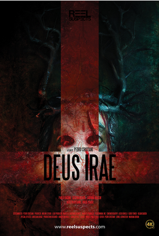 Poster 1 de Filme Deus Irae (2023)