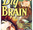 The Big Brain