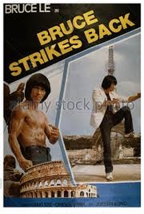 The Ninja Strikes Back - Poster / Capa / Cartaz - Oficial 5