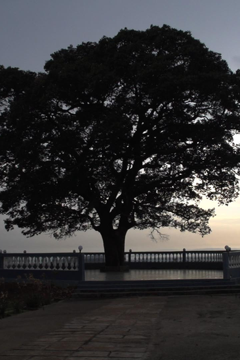 Poster de Filme La Lune Est Tombée (2015)