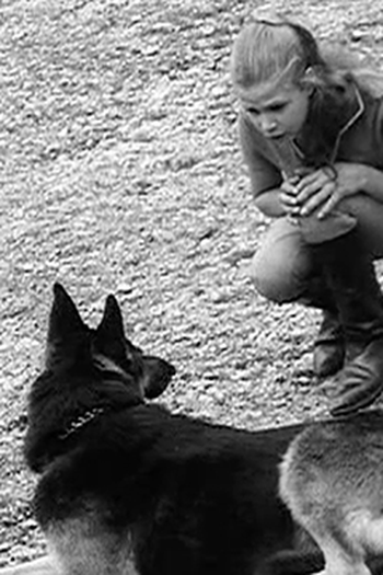 Poster de Episódio A Dog's Life (1966)