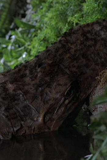 Poster de Episódio The Devil's Army (2000)