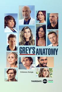 Grey's Anatomy (18ª Temporada) - Poster / Capa / Cartaz - Oficial 1