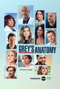 A Anatomia de Grey (18ª Temporada) - Poster / Capa / Cartaz - Oficial 1