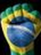 Brasil Varonil