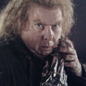 Foto de perfil de Wormtail O Traidor