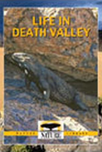 Death Valley - Poster / Capa / Cartaz - Oficial 1