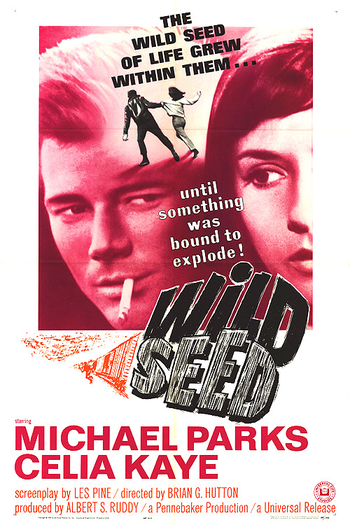 Poster de Filme Wild Seed (1965)