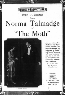 The Moth (The Moth)