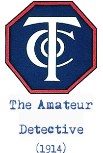 The Amateur Detective - Poster / Capa / Cartaz - Oficial 1