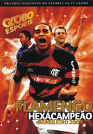 Flamengo Hexacampeão Brasileiro 2009