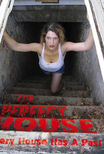 The Perfect House - Poster / Capa / Cartaz - Oficial 2