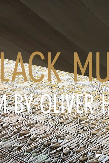 Poster de Filme Museu Negro (2018)