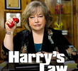 A Lei de Harry (2ª Temporada)