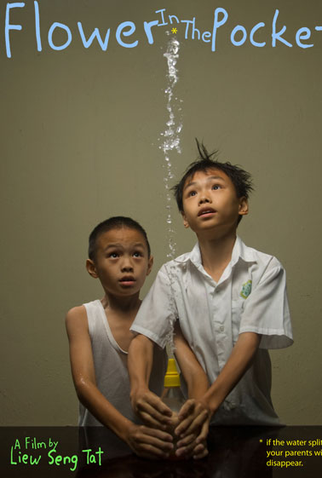 Poster 1 de Filme Pequenas Flores (2007)