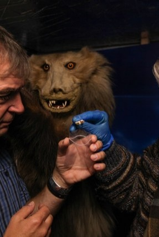 Poster 1 de TV Yeti or Not (2016)