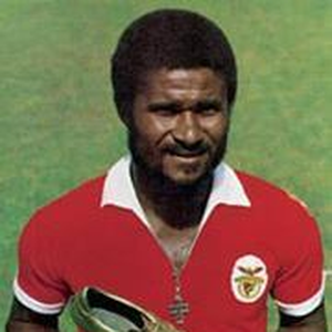 Foto de perfil de Renato Miguel Rodrigues