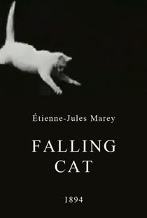 Falling Cat - Poster / Capa / Cartaz - Oficial 1