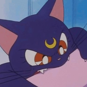 Foto de perfil de Carol