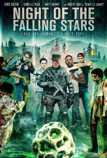 Night of the Falling Stars - Poster / Capa / Cartaz - Oficial 1