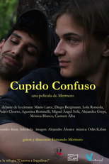 Cupido confuso (Cupido confuso)