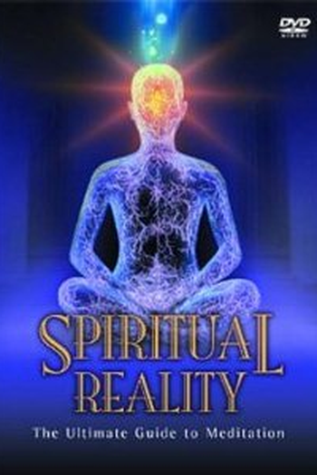 Poster de Filme Viagem Interna / Realidade Espiritual (2013)