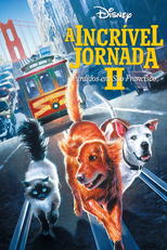 A Incrível Jornada II: Perdidos em São Francisco (Homeward Bound II: Lost in San Francisco)