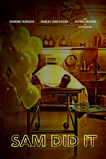 Poster de Curta Sam Did It (2018)