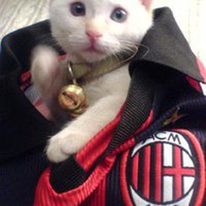 Foto de perfil de Rejane Lamblet