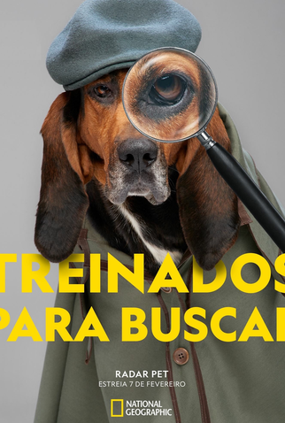 Poster 1 de Série Radar Pet (2019)