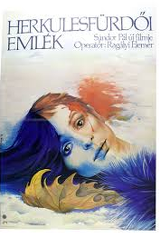 Poster 1 de Filme O Disfarce (1976)